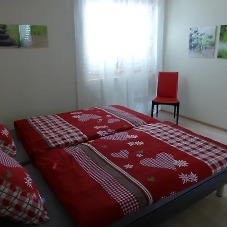 Daire J31 Ganseblumchen Brienz (Bern)