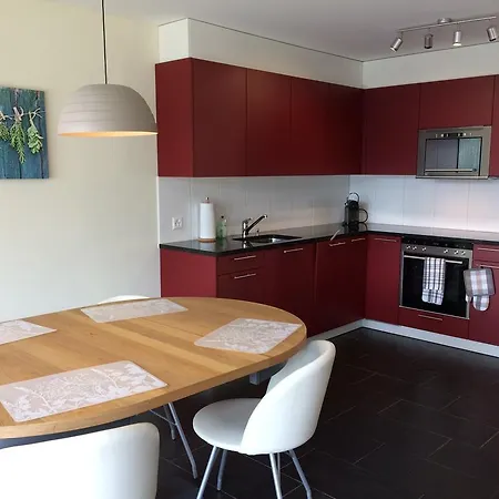 Daire J31 Ganseblumchen Brienz (Bern)